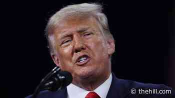 Top Republicans seek to tamp down concerns over Trump's funding demands