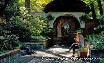 Park & Tilford Gardens aims to reopen this spring - Vancouver Is Awesome