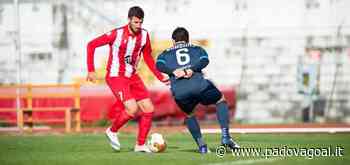 Matelica-Padova, Volpicelli: “Vogliamo continuare a stupire ea toglierci soddisfazioni” - Padova Goal