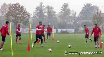 Matelica – Padova, lavoro differenziato per Bifulco, Biancon e Cissé: gli aggiornamenti - Padova Goal