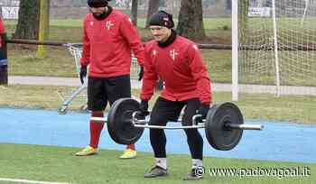 Successivo Live 24! Matelica-Padova, -5: testa al prossimo impegno, e piedi per terra… - Padova Goal