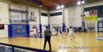 La Thunder Matelica-Fabriano espugna nettamente il campo dell'Olimpia Pesaro - Serie B Femminile Girone D - Basketmarche.it