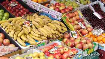 Global food prices the highest in six years as countries compete to replenish stockpiles