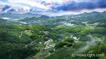 NPC deputy suggests exploring forest carbon sink development - CGTN