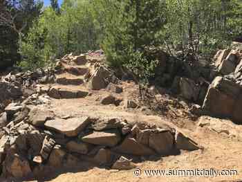 Applications open for Youth Forest Stewards summer program for teens - Summit Daily News