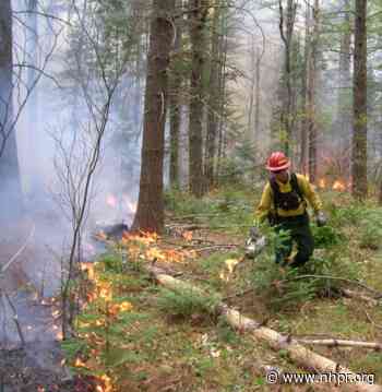 National Forest Plans Proactive Controlled Burns Near Conway Homes Facing Wildfire Risks - New Hampshire Public Radio