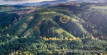 trees form a smiley face along oregon's douglas fir forest - Designboom
