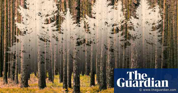 Is this the end of forests as we've known them?
