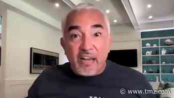 Cesar Millan Reaches Out to White House with Plan to Help Biden's Dogs