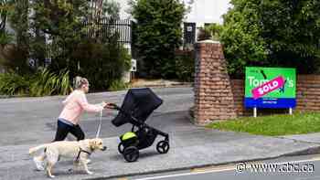 Canada and New Zealand both have hot housing markets, but only 1 has plan to cool things down