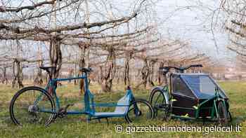 Soliera patria di cargobike: il boom di Officine ReCycle - La Gazzetta di Modena