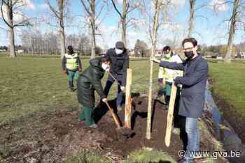 Vallei van de Kleine Beek ondergaat metamorfose (Wuustwezel) - Gazet van Antwerpen Mobile - Gazet van Antwerpen