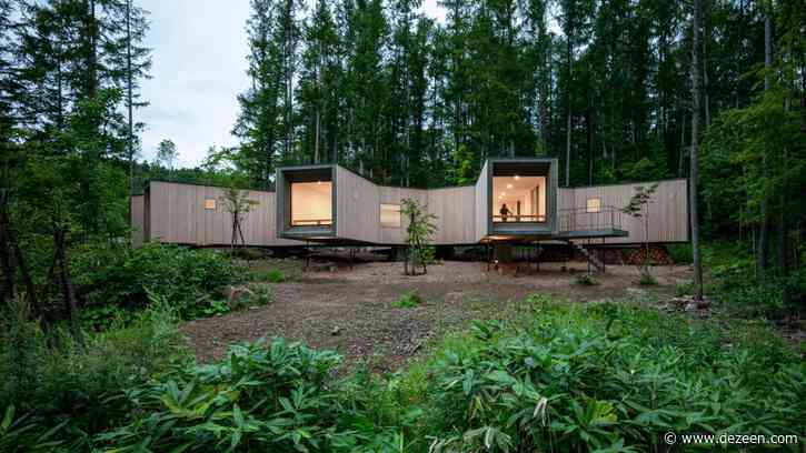 Florian Busch embeds branch-shaped holiday home in Japanese forest