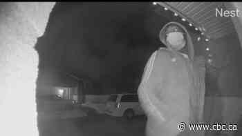 Seller robbed in Kijiji deal has advice for others using online marketplaces