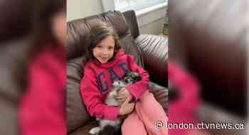 Amber Alert issued for 7-year-old girl from Bayfield, Ont.