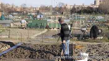 Modena. Al lavoro nell'orto per rinascere «Almeno possiamo stare fuori Ma ci mancano gli studenti» - La Gazzetta di Modena