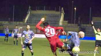 Modena, Muroni: “Vogliamo affrontare playoff con ottimo piazzamento” - tuttocalcionews