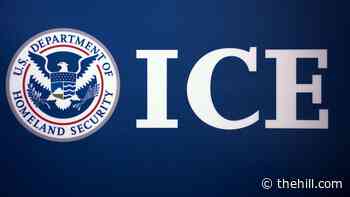 ICE arrests fell more than 60 percent in February: report