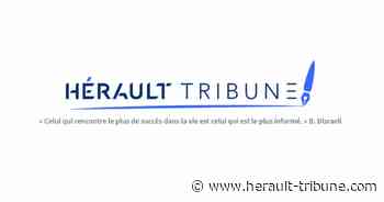 SERIGNAN - Une affaire résolue grâce à la vidéoprotection de la ville - Hérault Tribune - Hérault-Tribune