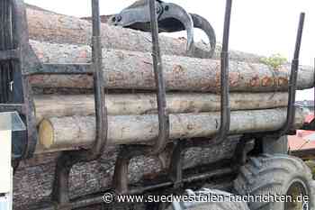Unglinghausen: Auffahrunfall mit Holztransporter - Südwestfalen Nachrichten | Am Puls der Heimat.