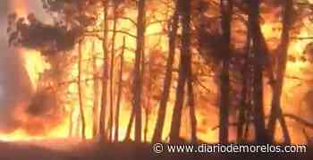 Alerta por voraz incendio en la México-Cuernavaca - Diario de Morelos