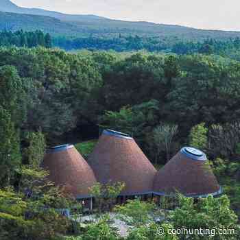 Klein Dytham Architecture's Japanese Forest “PokoPoko” Clubhouse - Cool Hunting
