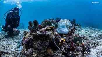 Coronavirus: Divers find Philippine reef covered with single-use face masks