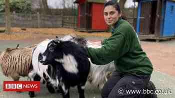 London Zoo: Second Easter in lockdown looms