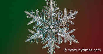 Photos of Snowflakes Like You've Never Seen Them Before