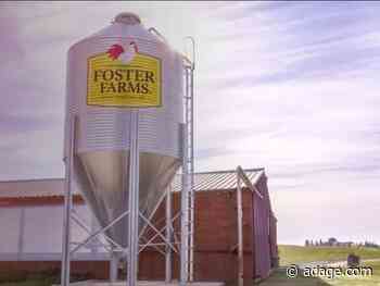 Foster Farms picks Erich & Kallman as its creative agency