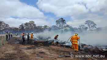 Victims launch $150 million legal class action over Cudlee Creek bushfire