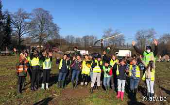 Nieuw bos van 1,4 hectare, geplant door kinderen uit Ranst - ATV
