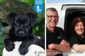 Penketh business Ovenu sponsors adorable guide dog puppy - Warrington Guardian