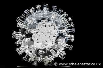 Researchers identify inflammatory protein linked to severe Covid-19 - St Helens Star
