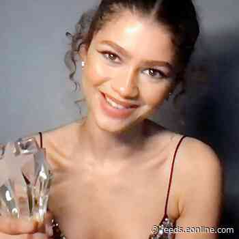 Zendaya Expresses "Gratitude" Over Her "Incredible" SeeHer Award at the 2021 Critics Choice Awards