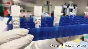 Is this the wrong time to loosen COVID-19 rules in Sask.?