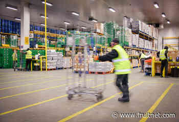 Behind the scenes at Co-op's food hub - Fruitnet