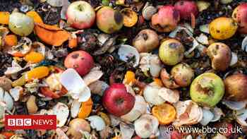 Food waste: Amount thrown away totals 900 million tonnes - BBC News