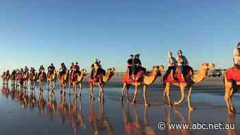 Tourism chief says cheap flights package targets marginal seats and leaves WA out in the cold