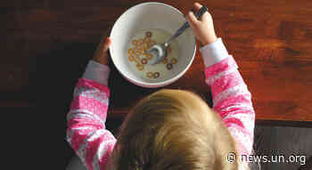 Food systems account for over one-third of global greenhouse gas emissions - UN News