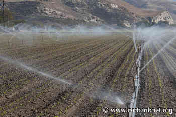 Food systems responsible for 'one third' of human-caused emissions - Carbon Brief