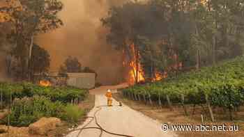 SA Power Networks sued over tree fall that caused Adelaide Hills bushfire