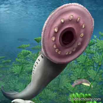 Fossilized Fish Larvae Discovery Challenges Long-Accepted Theory of Vertebrate Origin