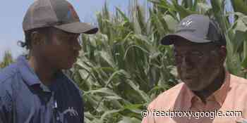 Only 1.3% of farmers in the US are Black, and some say they still face discrimination