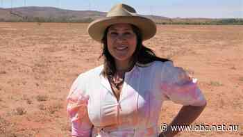 Paul Kelly, Kate Ceberano to headline inaugural outback music festival