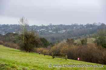 Farthing Downs in Croydon offers 'oasis of calm'