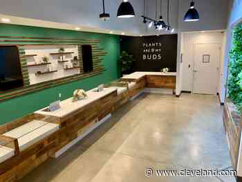 State may lift the cap on the number of Ohio medical marijuana dispensaries - cleveland.com