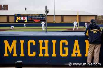 Michigan baseball trainer steps up to the plate during medical emergency on flight home - MLive.com