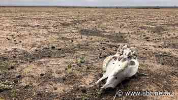 Farm tax deferral drought measure under review