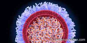 3 medical innovations fueled by COVID-19 that will outlast the pandemic - The Conversation US